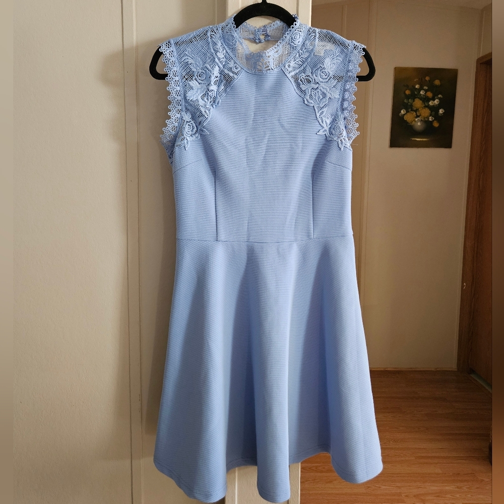 Francesca's Collections Lace Detail Skater Dress - Picture 2 of 4